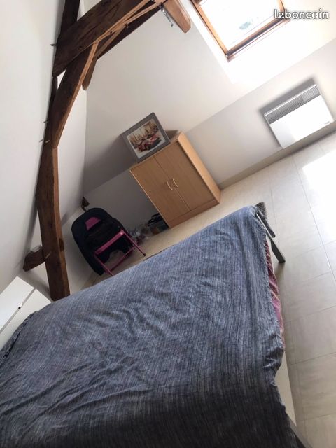 Location appartement T2 Juigne sur Loire - Photo 3