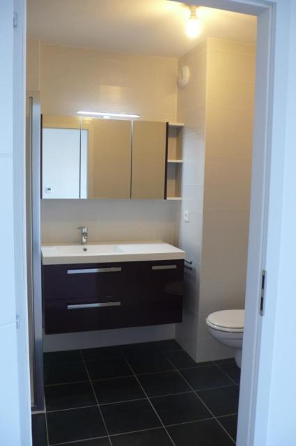 Location appartement T2 Strasbourg - Photo 3