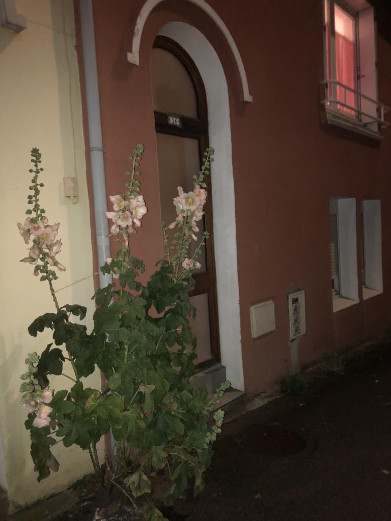 Location chambre Brest - Photo 4