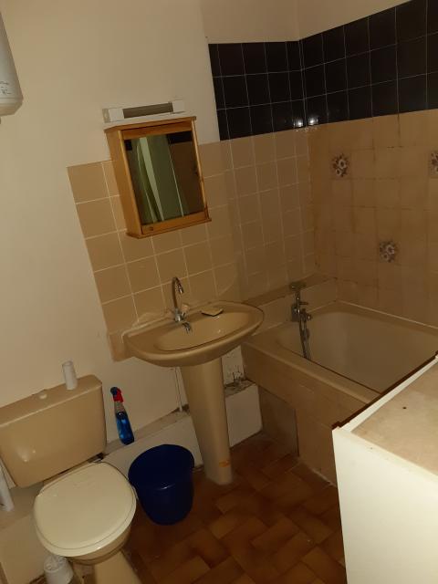 Location appartement T3 Lyon 7 - Photo 3