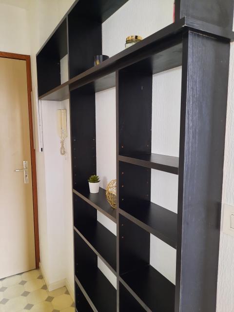 Location appartement T1 Lyon 8 - Photo 4