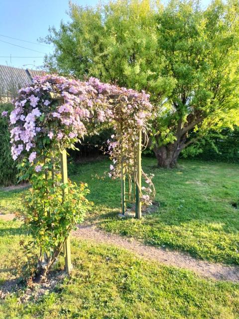 Location chambre Bailleulval - Photo 9