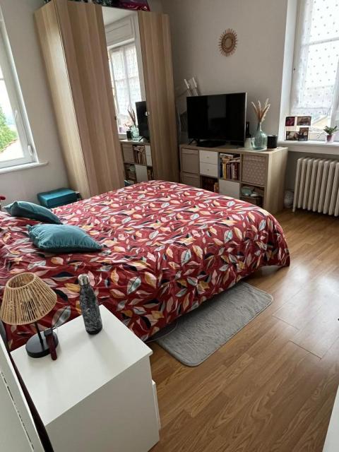 Location appartement T3 Norroy le Veneur - Photo 5