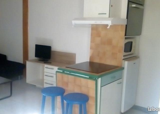 Location appartement T2 Montpellier - Photo 2