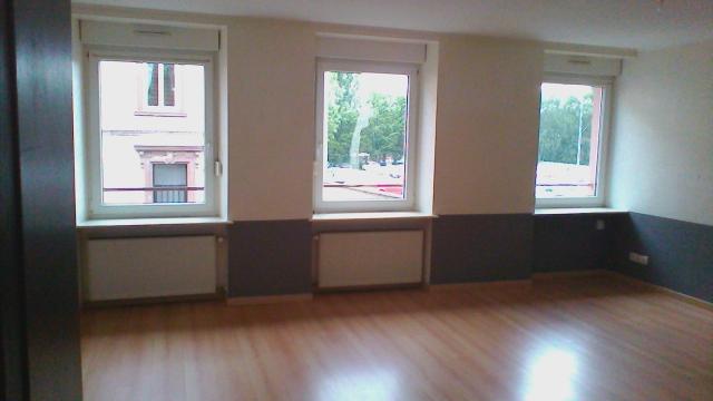 Location appartement T3 Sarreguemines - Photo 2