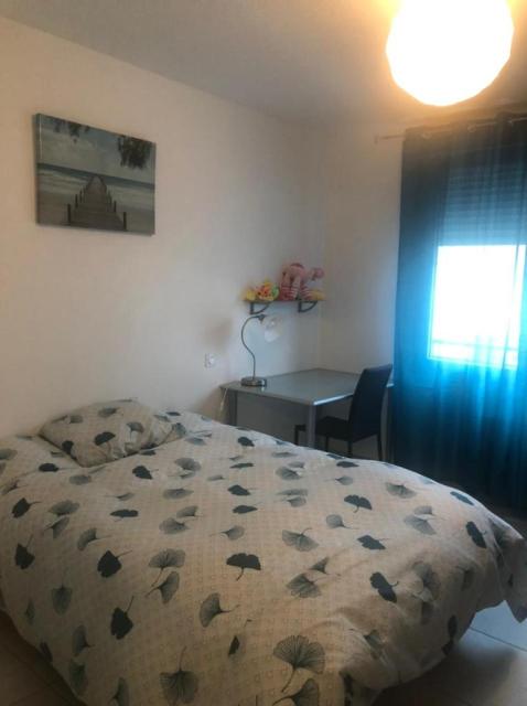 Location appartement T2 Albi - Photo 4