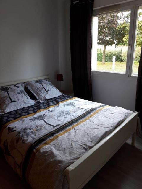 Location appartement T2 Toulouse - Photo 2