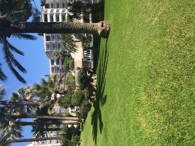 Location appartement T2 Cannes - Photo 3