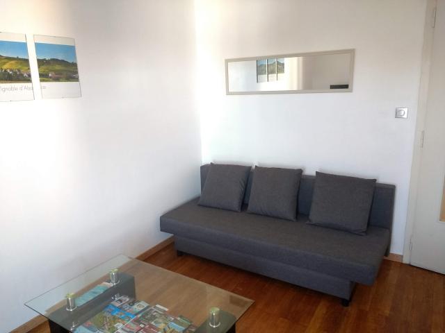 Location appartement T2 Colmar - Photo 4