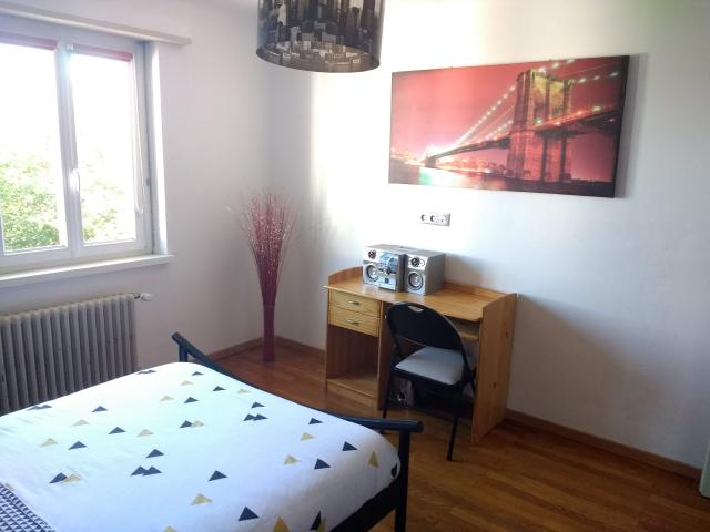 Location appartement T2 Colmar - Photo 7
