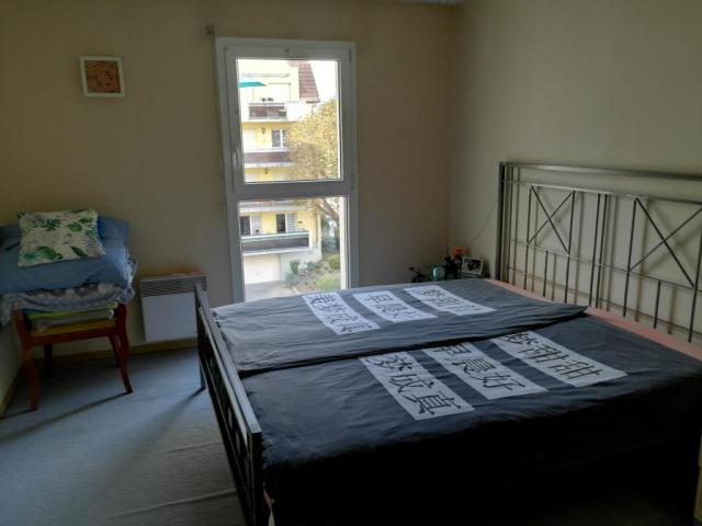Location appartement T3 Erstein - Photo 2