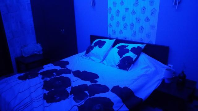 Location chambre Toulouse - Photo 2