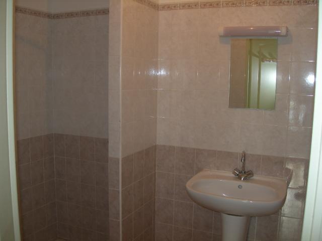 Location appartement T2 Barentin - Photo 3