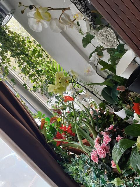 Location appartement T3 Salon de Provence - Photo 4