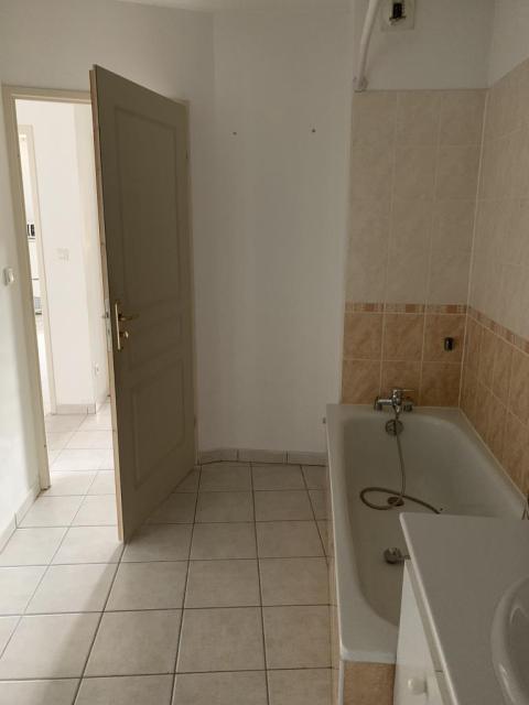 Location appartement T3 St Etienne - Photo 9