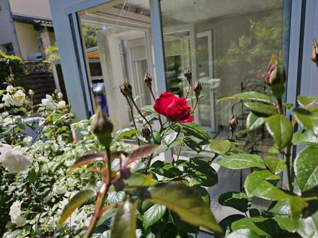 Location chambre Montpellier - Photo 5