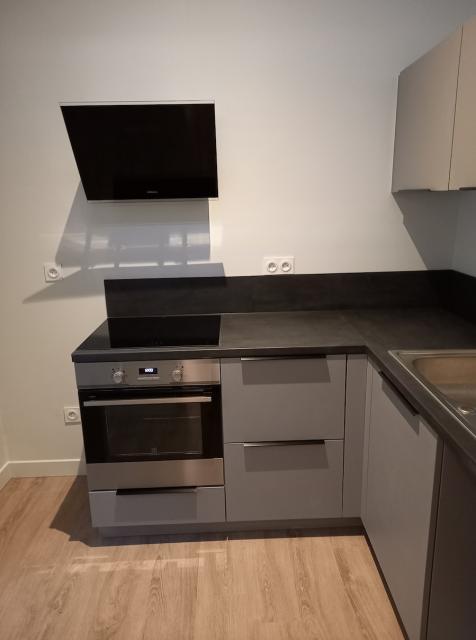 Location appartement T2 Lille - Photo 4