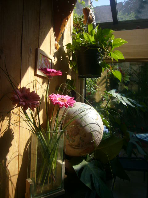 Location maison F3 Avignon - Photo 5