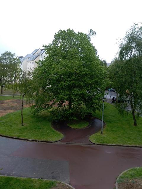 Location appartement T3 Caen - Photo 9