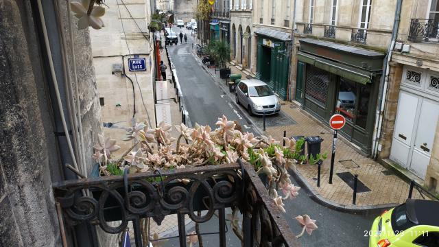 Location appartement T2 Bordeaux - Photo 2