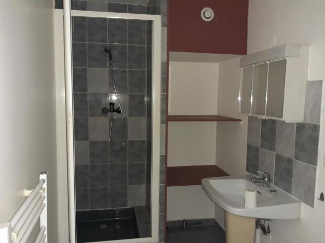 Location appartement T3 Brienon sur Armancon - Photo 4