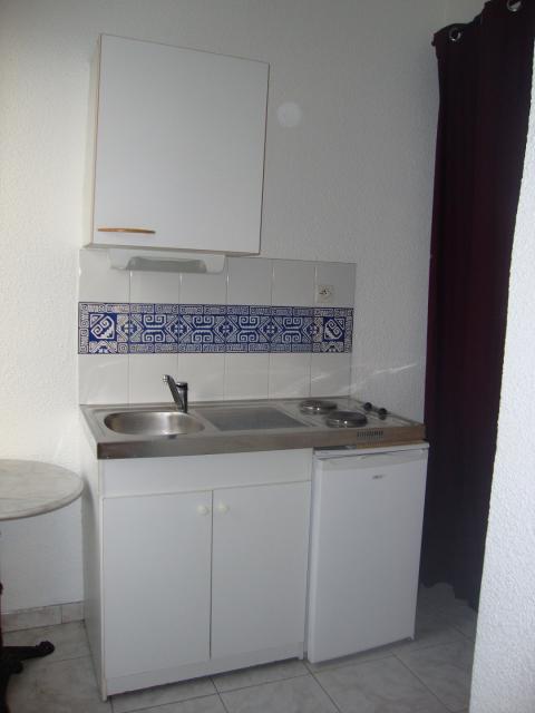 Location appartement T1 Grenoble - Photo 2