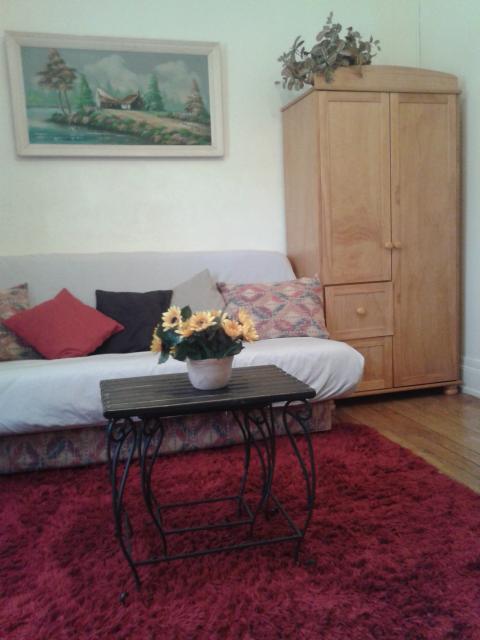Location appartement T3 Mulhouse - Photo 2