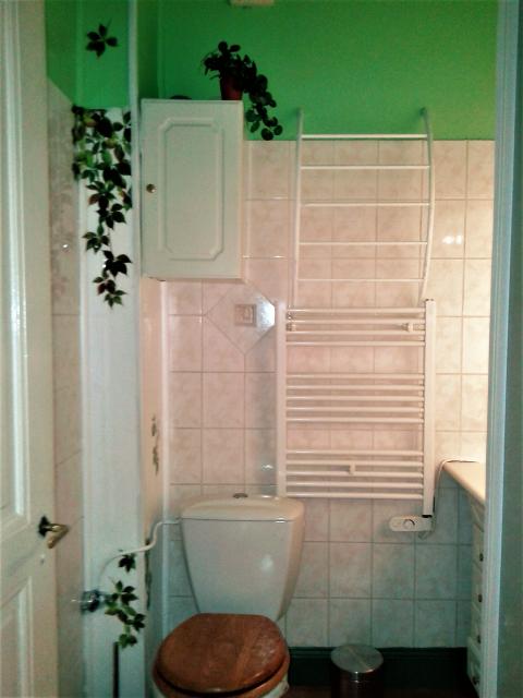 Location appartement T3 Mulhouse - Photo 7