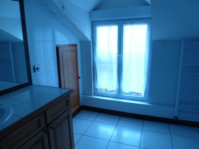 Location appartement T4 Orleans - Photo 5