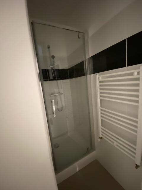 Location appartement T2 St Etienne - Photo 4