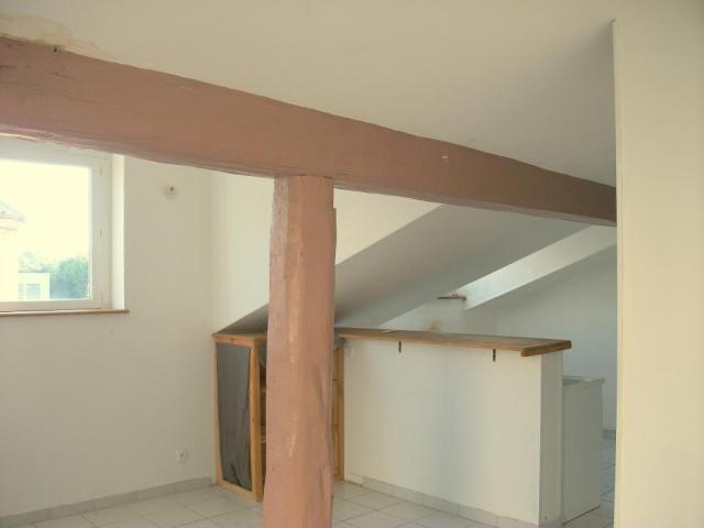 Location appartement T2 Lyon 1 - Photo 2