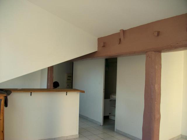 Location appartement T2 Lyon 1 - Photo 3