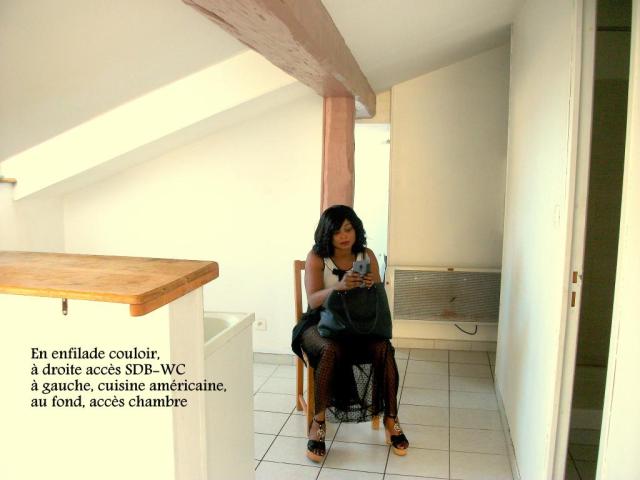 Location appartement T2 Lyon 1 - Photo 5