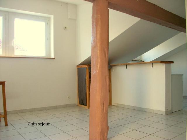 Location appartement T2 Lyon 1 - Photo 6