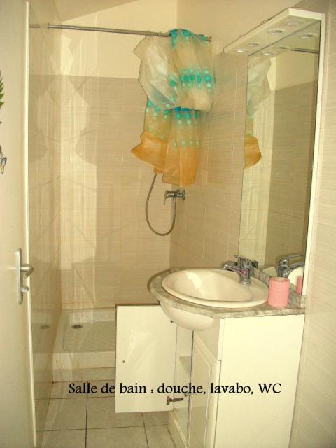 Location appartement T2 Lyon 1 - Photo 7