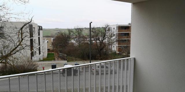Location appartement T3 St Orens de Gameville - Photo 2