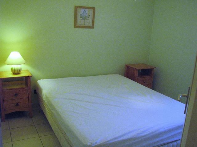 Location appartement T2 Aix les Bains - Photo 3