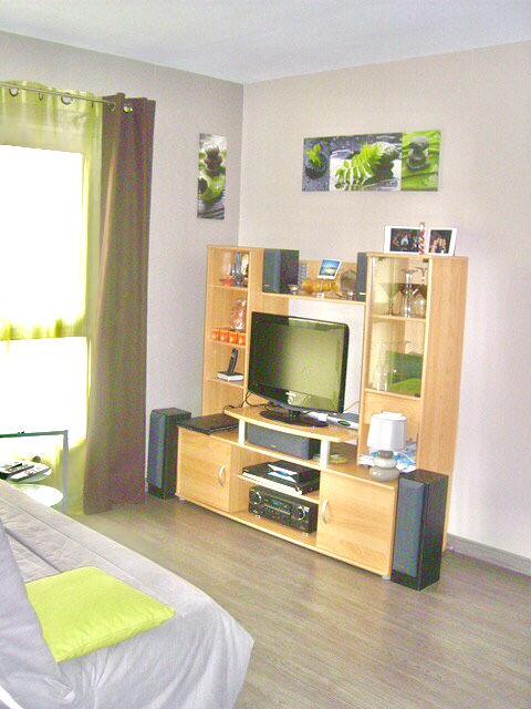 Location appartement T2 Lyon 7 - Photo 2