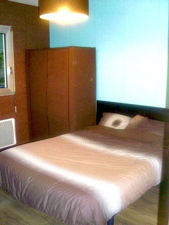 Location appartement T2 Lyon 7 - Photo 4