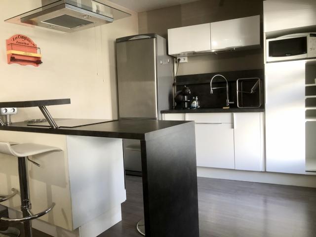 Location appartement T2 Lyon 7 - Photo 6