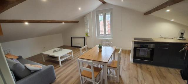 Location appartement T2 La Ricamarie - Photo 3