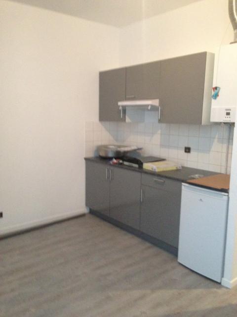 Location appartement T2 St Gaudens - Photo 2