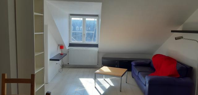 Location appartement T2 Strasbourg - Photo 1