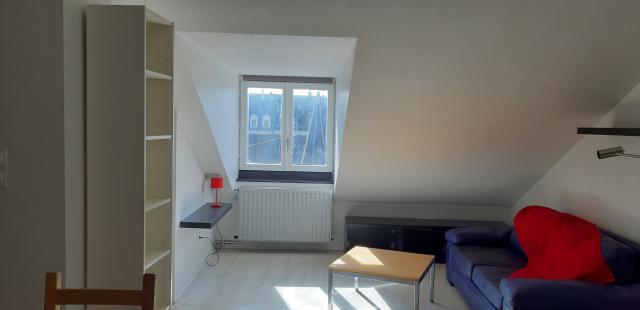 Location appartement T2 Strasbourg - Photo 8