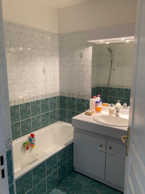 Location appartement T3 Villeurbanne - Photo 7