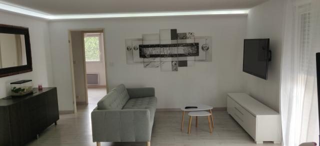 Location appartement T3 Toulouse - Photo 6