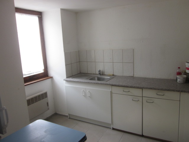 Location appartement T1 Huningue - Photo 3
