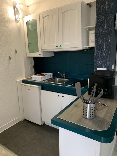 Location appartement T1 Toulouse - Photo 4