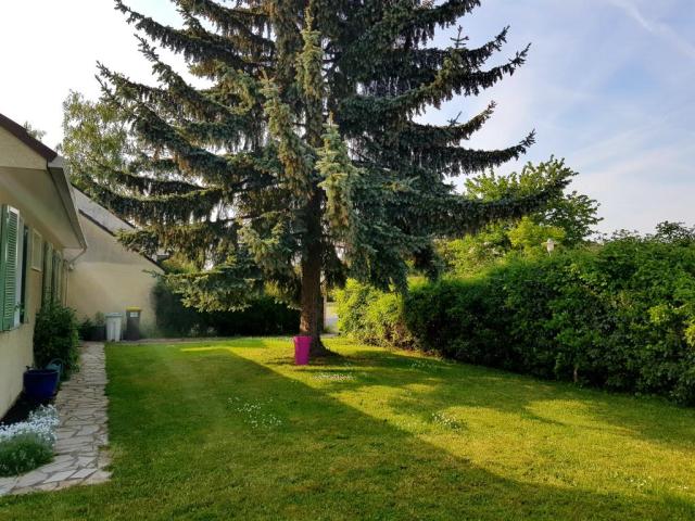 Location chambre Evry Gregy sur Yerre - Photo 3