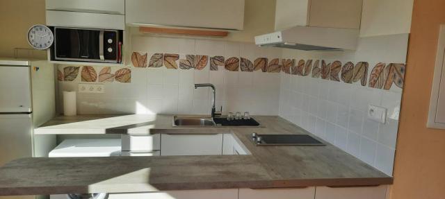 Location appartement T2 Lyon 9 - Photo 3